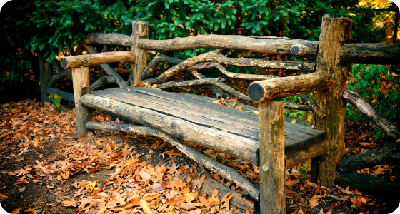 Memorial Benches